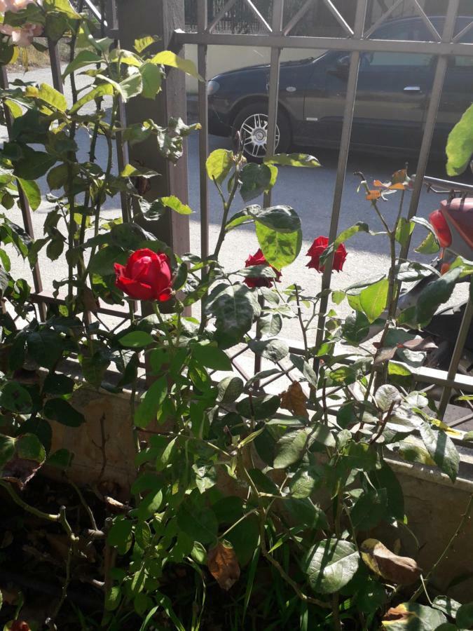 Roses Villa Skála Kallirákhis Eksteriør billede